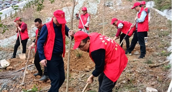 村企共建，共植先鋒林