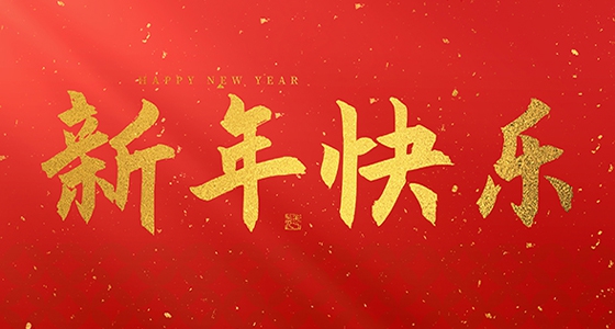 安特儀表集團(tuán)有限公司祝大家2025新年快樂！